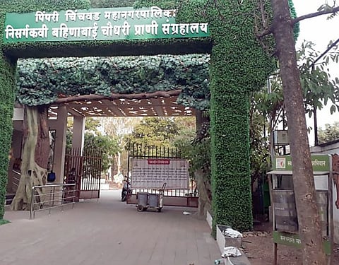 Pimapri : प्राणिसंग्रहालयाचा कारभार राज्य शासनाच्या हाती
