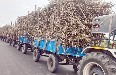 शिरूरच्या पूर्वभागात धोकादायकरीत्या ऊस वाहतूक