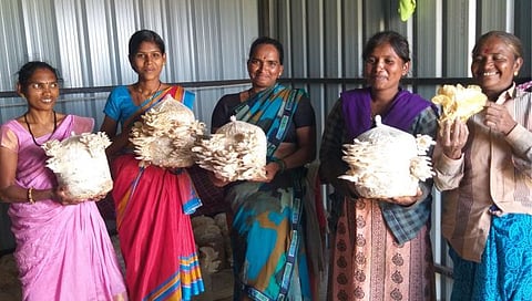 नाशिक : पहिल्याच प्रयत्नात यशस्वीरीत्या घेतलेले मशरूम दाखविताना आदिवासी महिला. 