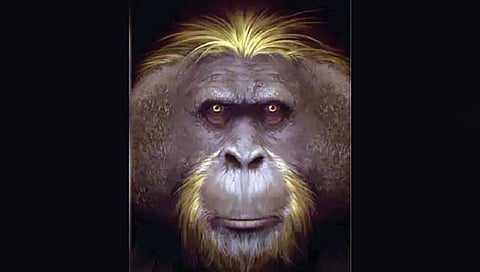 ‘हा’ होता सर्वात मोठा एप!