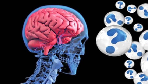 विशिष्ट प्रसंगी चक्क अल्झायमरचेही होऊ शकते संक्रमण