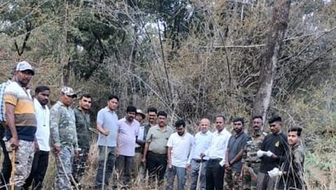 Chandrapur News : ताडोबा व्याघ्र प्रकल्पात झुंजीत २ वाघांचा मृत्यू