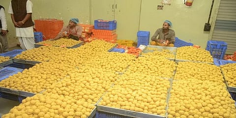 महाकाल मंदिर व्यवस्थापन समितीकडून लाडू प्रसाद तयार केला जात आहे.