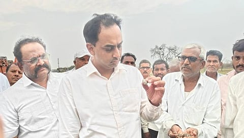 Jalgaon Hailstorm : 215 गावांना गारपिटीचा फटका, 18 हजार हेक्टरवरील पिकांचे नुकसान