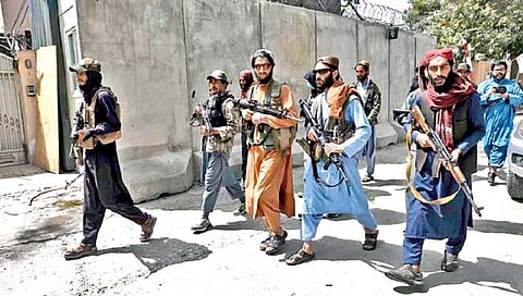 पाकिस्तान-तालिबानमधील संघर्ष झळा