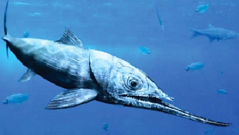 प्राचीन काळात होता करवतीसारख्या जबड्याचा मासा