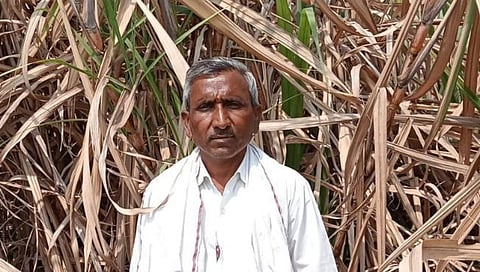 परभणी: समृध्दी कारखान्याकडून ऊस नेण्यास टाळाटाळ; रेणाखळीच्या शेतकऱ्यांचा उपोषणाचा इशारा