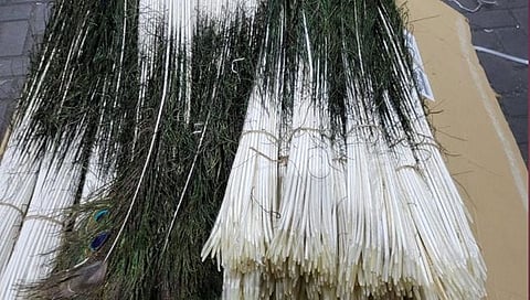 जेएनपीए बंदरातून २८ लाखांचा मोरपीसांचा साठा केला जप्त