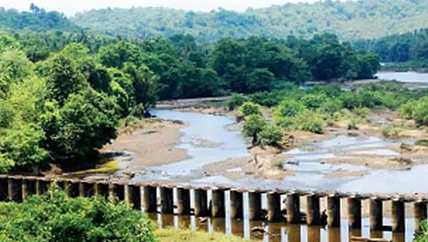 Mhadei Water Dispute: म्हादई पाणीप्रश्नी तीन राज्यांच्या जलसिंचन मंत्र्यांची मंगळवारी बैठक : सुभाष शिरोडकर