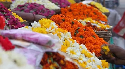 दुष्काळी परिस्थितीत फुलांचे भाव पडले; पुरंदरचा शेतकरी दुहेरी संकटात  