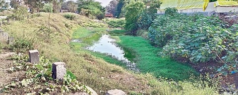 सीना नदीची उगमस्थानी दुरवस्था ! सीनेला अतिक्रमण व घाणीचा विळखा