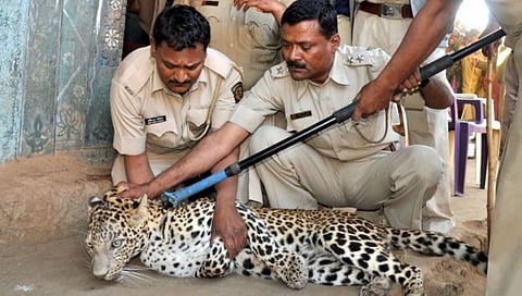 उत्तर महाराष्ट्रातील पहिलं ‘ट्रान्झिट ट्रीटमेंट सेंटर’ नाशिकमध्ये, एप्रिलपासून प्रारंभ