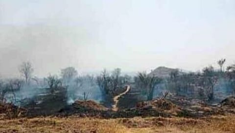 Dhule News | म्हसदी शिवारात चार शेतकऱ्यांच्या डाळिंब बागा आगीत खाक, लाखो रुपयांचे नुकसान