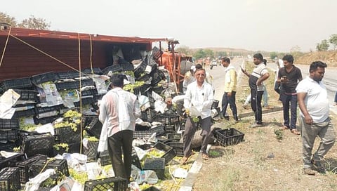 हिंगोली : भाटेगाव शिवारात अपघातग्रस्त टेम्पोतील द्राक्ष खाण्यास झुंबड