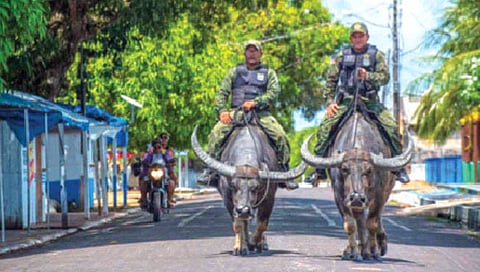 ‘इथे’ पोलिस चक्क रेड्यावर बसून घालतात गस्त!