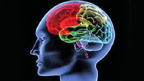 मायग्रेनच्या त्रासासाठी केली तपासणी; मेंदूत आढळला जंत!