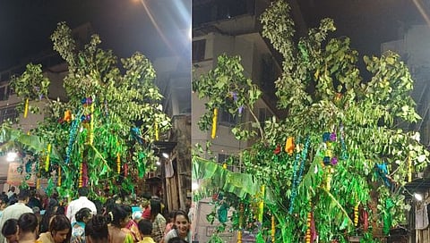 मुंबई : ताडवाडी सार्वजनिक मंडळाच्या होलीकोउत्सवाची १२५ व्या रौप्य महोत्सवी वर्षाकडे वाटचाल