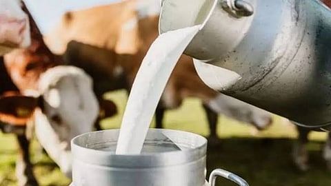 Milk subsidy