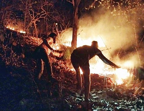 वणवे रोखण्यासाठी मिळेना मशिन! सिंहगड वनसंरक्षण समितीची कैफियत