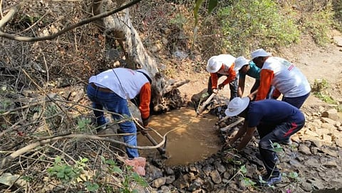 वाघेरा-हरसूल पश्चिम घाटात वन्यजीव पक्षांसाठी पाणवठे साकारले.,
