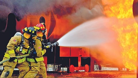 A career in the adventure field : साहसी क्षेत्रात करिअर करायचंय?