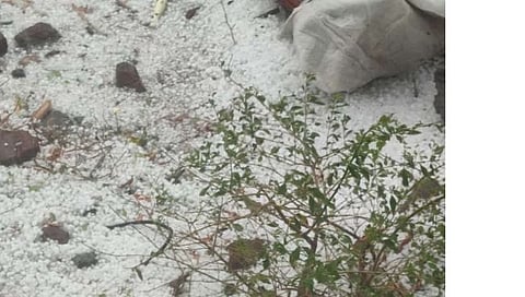 बीड : अवकाळी पावसाने धारूर, वडवणी तालुक्याला झोडपले