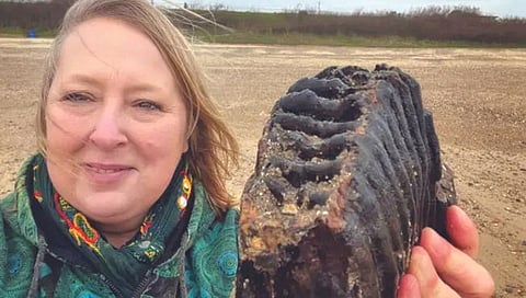 समुद्रकिनारी फिरताना सापडला मॅमथचा दात