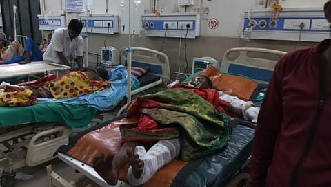 रानटी हत्तीच्या हल्ल्यात तीन महिला गंभीर जखमी