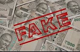 न्हावरे येथे पावणेदोन लाखांच्या बनावट नोटा : चौघांना अटक