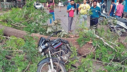 कोल्हापूर : जिल्ह्याला वादळी पावसाने झोडपले