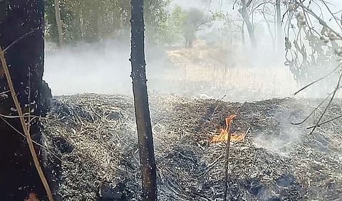 पुणे : टिटेघर येथे वणवा लागून पाइपलाइनचे नुकसान