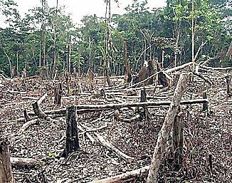 नैसर्गिक र्‍हासाने उष्मा वाढला; उष्माघाताचा परिणाम नागरिकांना असह्य