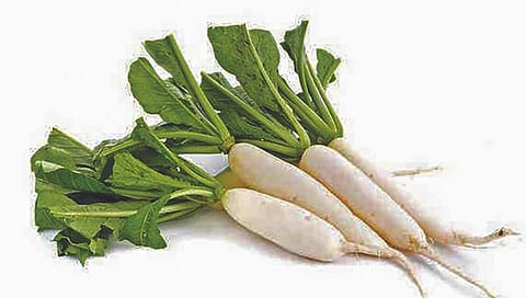 आरोग्यदायी मुळा, जाणून घ्या त्याचे फायदे