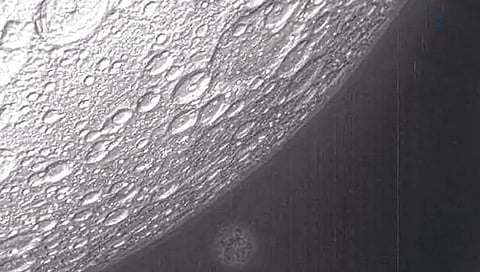 चीनच्या उपग्रहांनी टिपली चंद्र-पृथ्वीची प्रतिमा