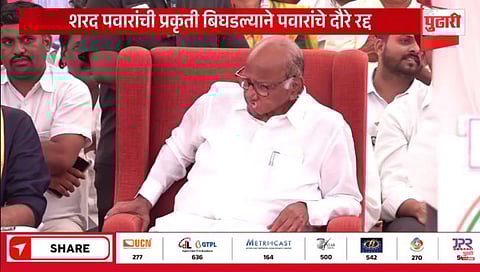Lok Sabha Election Sharad Pawar
