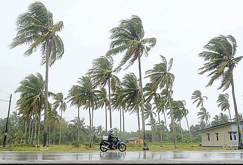 दक्षिण आशियात यंदा मान्सून सरासरीपेक्षा जास्त; या भागांत चांगला पाऊस : हवामानतज्ज्ञांची पुण्यात बैठक