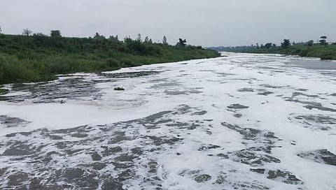 पंचगंगेचे नदीपात्र फेसाळले