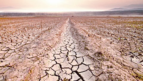 reality of growing deserts