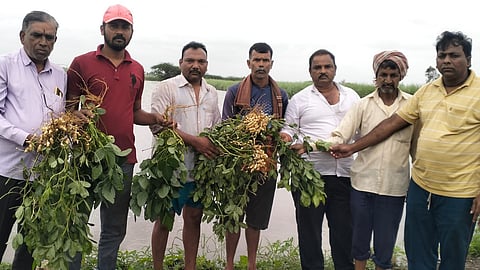 Thousands of hectares of agriculture under water in Shirdhon, Takwade area