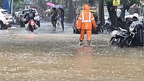 Chandrapur Rain News |
