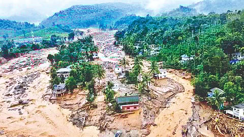 Wayanad Landslides 