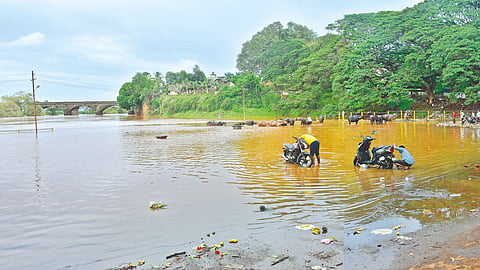 Panchganga river 