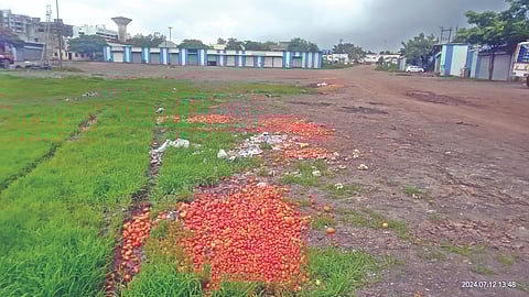 Shard pawar Market yard Nashik