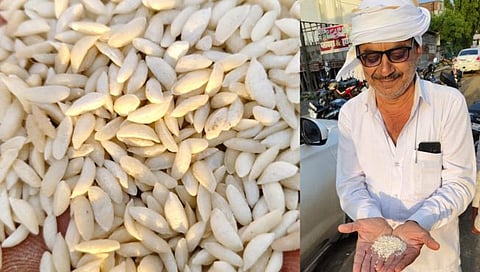 Fact Check - Is plastic rice being sold on ration? What exactly is this rice?