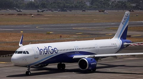 Indigo airlines news