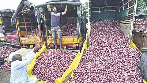 Onion Prices Drop