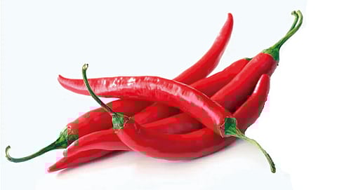 Red pepper is also effective in removing obesity