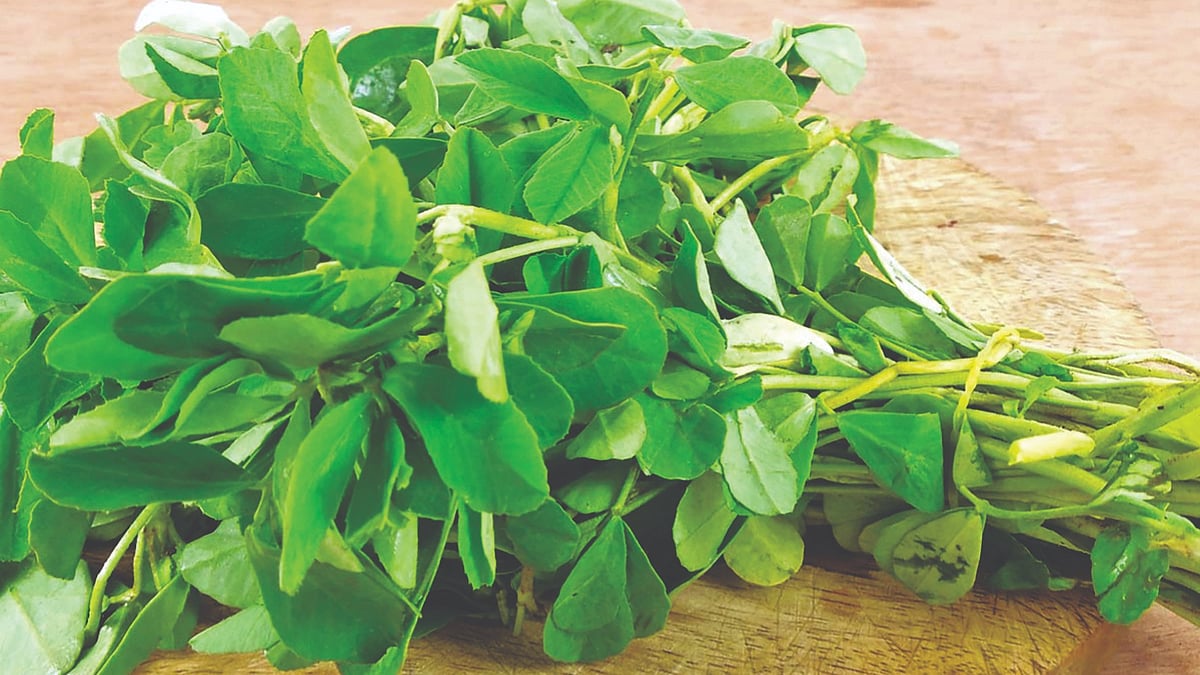 Fenugreek greens benefits | हिवाळ्यात मेथीची भाजी ठरते आरोग्यदायी घटकांचा  खजिना!