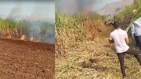 15 acres of sugarcane burnt after electric wire falls on field in Rethre