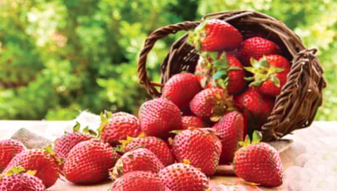 Strawberries keep many serious diseases away